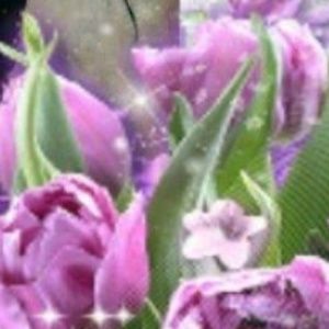 Meet your Posher, Jasmine